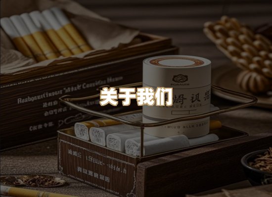 关于御龙烟网